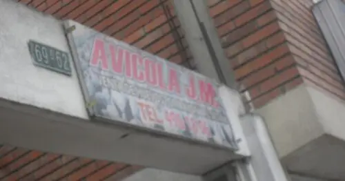AVICOLA JM AVICOLA JM